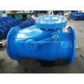 Metal Seat Cast Iron Check Valve